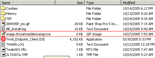 Image1.gif