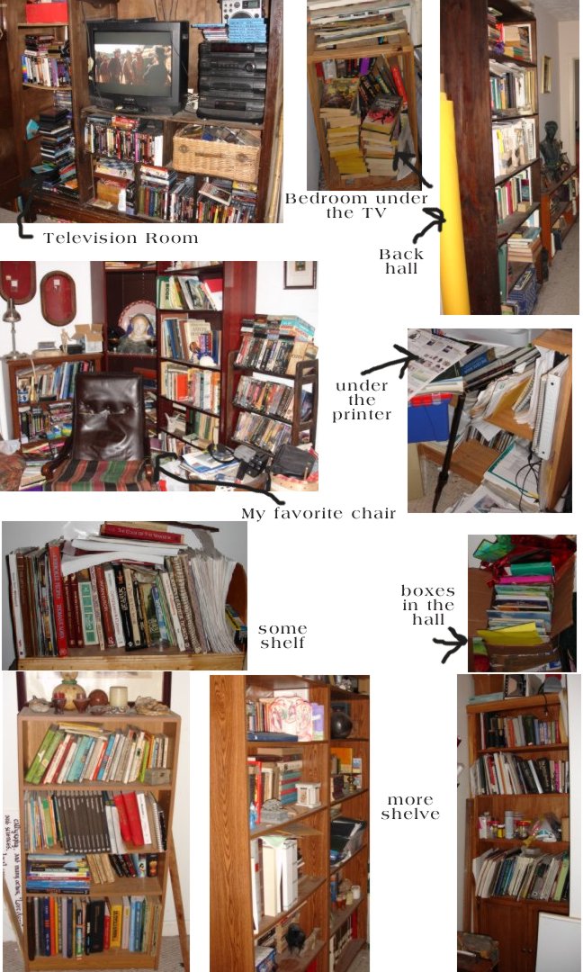 bookshelves.jpg