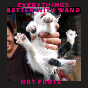 kitten-5.jpg