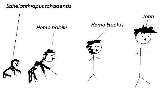 evolution chart.JPG